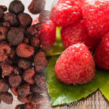 Lampone essiccato cibo sano di qualità di fabbrica